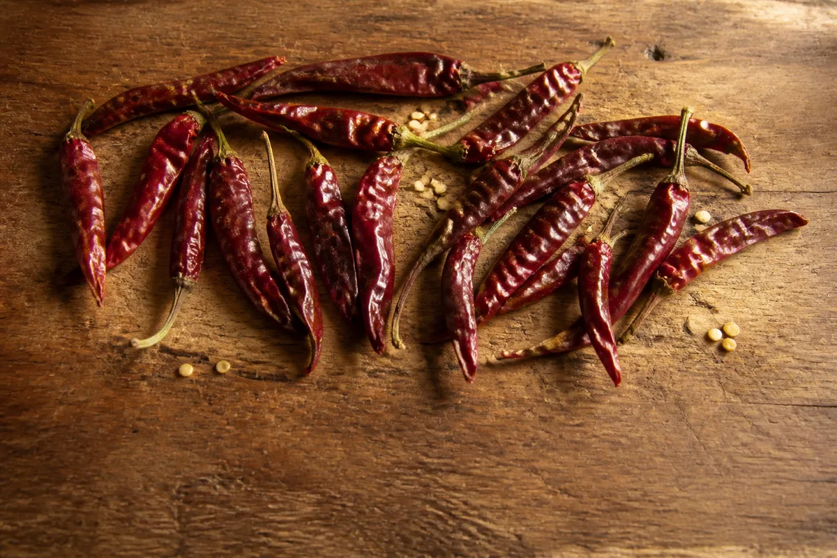 Piments de Cayenne rouges entiers séchés étalés sur une planche en bois brut, lumière rasante du matin